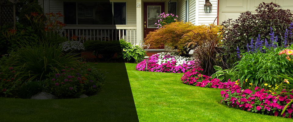 Blanco Landscapers