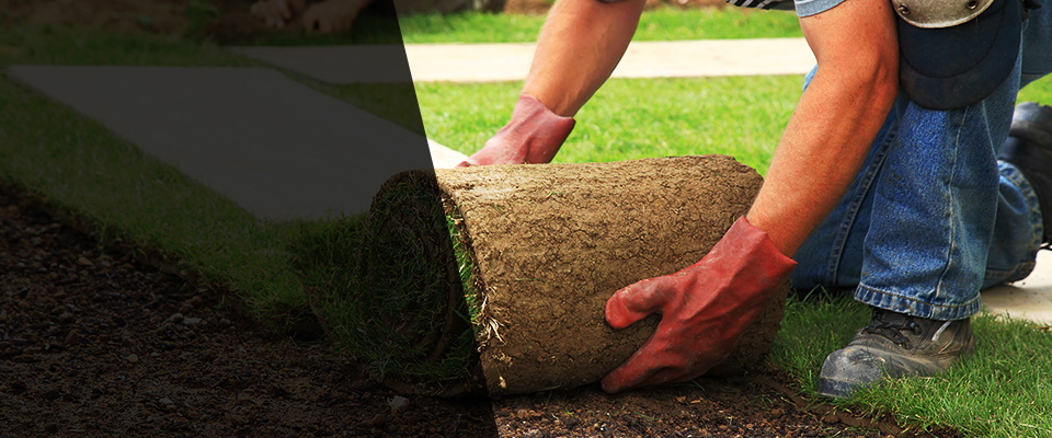 Blanco Landscapers